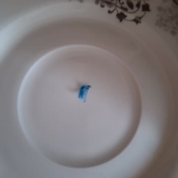 BİM Berk Çayın İçinden Çıkan İp