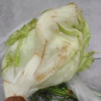 A101 Çürük Ve Yenmeyecek Kalitede Ürün