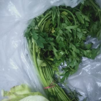 A101 Çürük Ve Yenmeyecek Kalitede Ürün