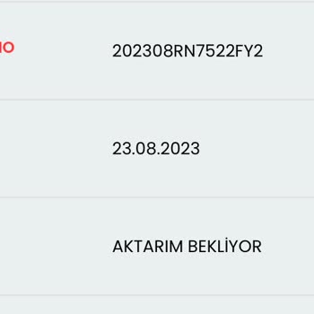 Biletalsat.com Bilet Aktarımı Beklemede
