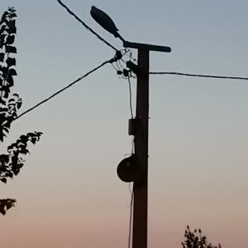 Gdz Elektrik Dağıtım Sokak Aydınlatma Direk Lambası Yanmıyor