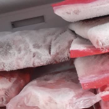 Yeni Alınan Beko Nofrost Buzdolabı Soğutmuyor Ve Buzluk Karlanıyor