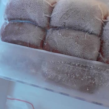 Yeni Alınan Beko Nofrost Buzdolabı Soğutmuyor Ve Buzluk Karlanıyor