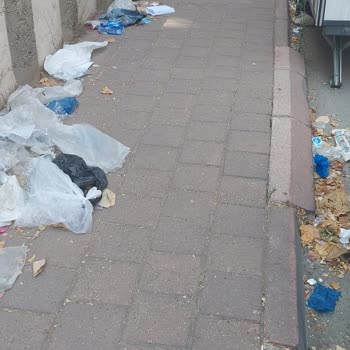 Çukurova Belediyesi Sokağın Çöp Dolu Olması Ve Temizlenmemesi