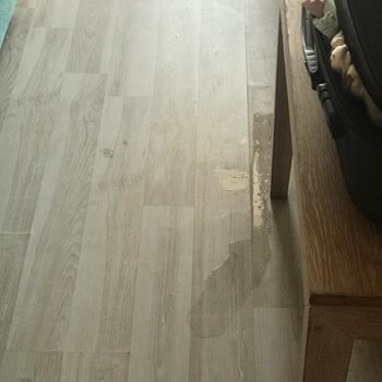 Mysea Hotels Vasat Hizmet ve Temizlik Sorunu