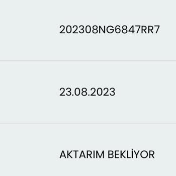 Biletalsat.com Satın Aldığım Bilet Halla Paso Kartona Aktarılmadı