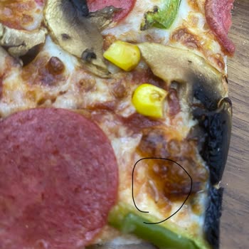 Terra Pizza Pizzadan Kurt Çıktı