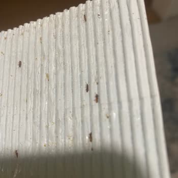 Ülker Probis Böcek Ve Kurt Çıktı