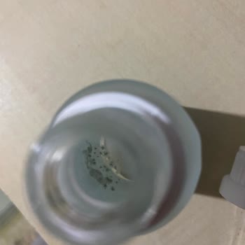 S'he Vec. SHE Vec Küflendi