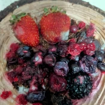 Leziz Extra Pastanesi Bozuk Ürün