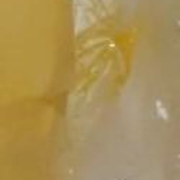 Rizeden Sofranıza Rizedensofraniza.com - Hani Soğuk Zincir Gönderecektin