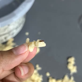 Tunç Başak Un Fabrikası Böcekli Çıktı