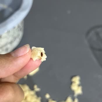 Tunç Başak Un Fabrikası Böcekli Çıktı