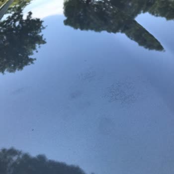 Fiat Egea Boya Atması Boya Sorunu