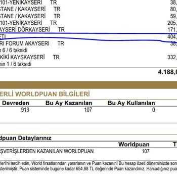 Yapı Kredi Bankası Kredi Kartı Aidatı 404,5 TL Fahiş Ücret Alması