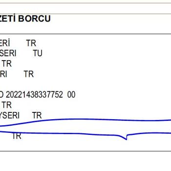 Yapı Kredi Bankası Kredi Kartı Aidatı 404,5 TL Fahiş Ücret Alması
