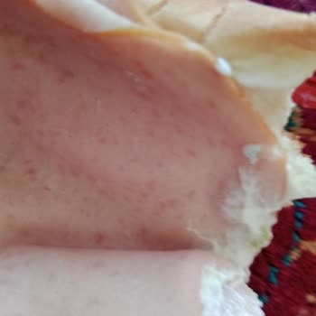 BİM Hindi Füme Li Sandviç Küf Çıktı