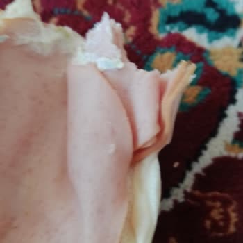 BİM Hindi Füme Li Sandviç Küf Çıktı