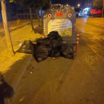 Büyükçekmece Belediyesi Koku Sinek Oluşuyor