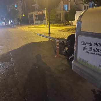 Büyükçekmece Belediyesi Koku Sinek Oluşuyor