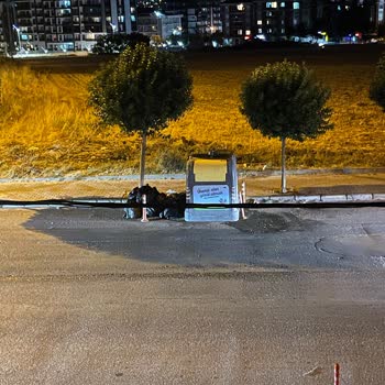 Büyükçekmece Belediyesi Koku Sinek Oluşuyor