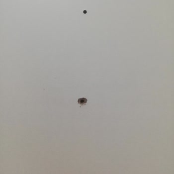 Bellona Markasının Pişmanlığı