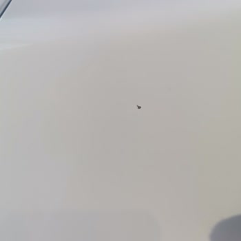 Otokoç Sıfır Araçta Hata Ve İlgisiz Firma