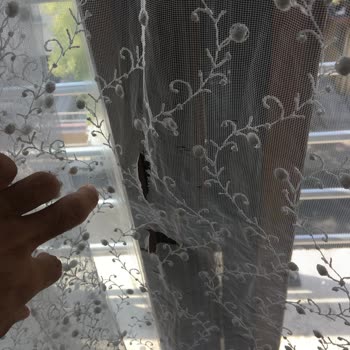 Brillant Perde Tel Tel Kopuyor.