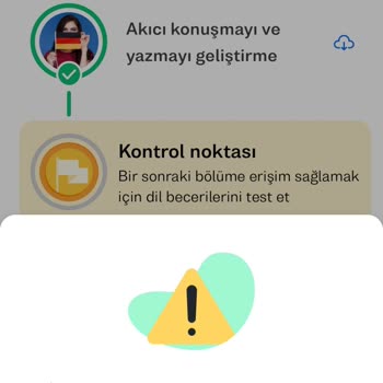 Busuu Da İnternet Sıkıntısı