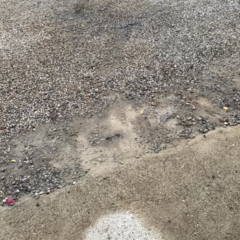 Muğla Büyükşehir Belediyesi Su Borusu Patlağı
