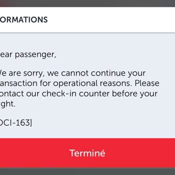 THY Online Check-in Problemi