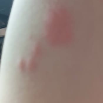 White Pearl Hotel Pis Ve Bakımsız