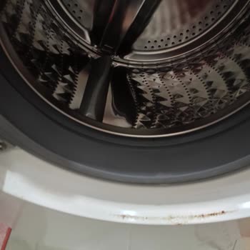 Samsung Çamaşır Makinesi Küflenme