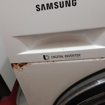 Samsung Çamaşır Makinesi Küflenme