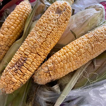 Migros Ürün Kalitesizliği Ve Değişimin Yapılmaması