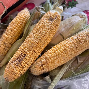 Migros Ürün Kalitesizliği Ve Değişimin Yapılmaması