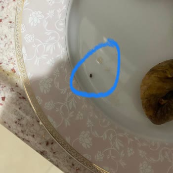 Doğal File Kurtlu, Böcekli Ve Çürümüş Ürünler Gönderdi