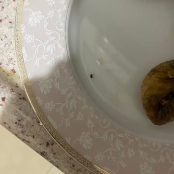 Doğal File Kurtlu, Böcekli Ve Çürümüş Ürünler Gönderdi