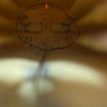 Toysall Scooter And Ride Garanti