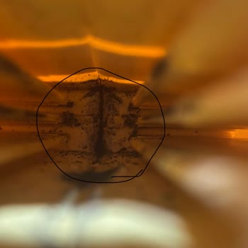 Toysall Scooter And Ride Garanti