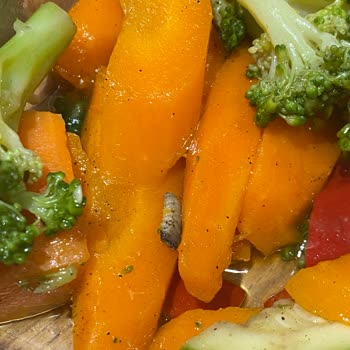 Yediden Restaurant Yemeğimden Kurt Çıktı