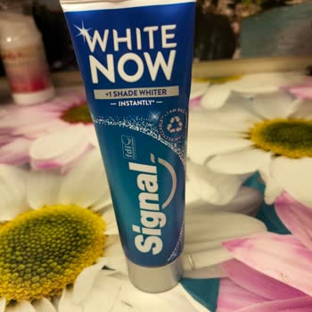 Signal White Now Mavi Renk Bırakıyor