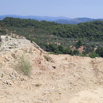 Trivago Olmayan Otelin Satışını Yaptı.