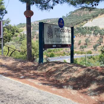 Trivago Olmayan Otelin Satışını Yaptı.