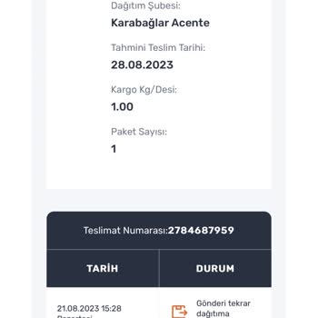 Sürat Kargo Karabağlar Acentesi Dağıtım