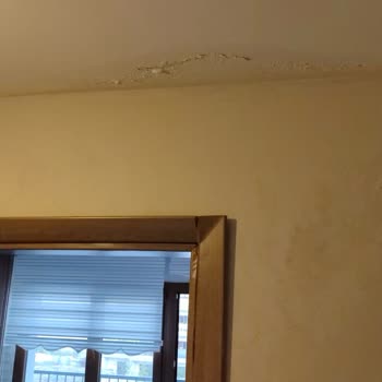 Dizmanlar Group Sorunlara Çözümsüz