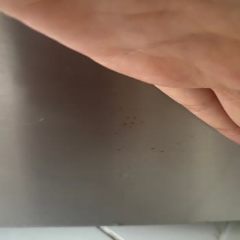 Siemens Buzdolabı Kapağı Paslanması