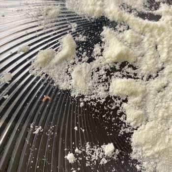 Nutricia Mamadan Kurt Cıktı