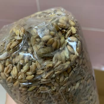 Organigiz.org Karaot Organik Doğal Diye Kurtlu Böcekli Ürün Gönderiyor