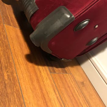 Pegasus Valizimi Kırdı Dönüş Yapmıyor